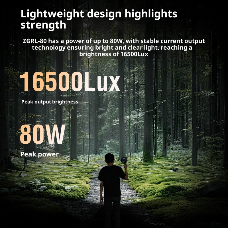 ZGRL80 80 Вт COB светодиодный  – обзор и цена Outdoor Lighting In Photography